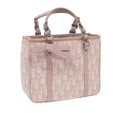 Christian Dior Trotter borsa