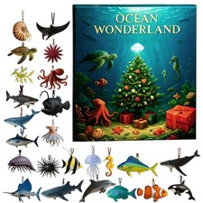 Calendario dell'Avvento Tesori Natalizi Del Profondo 2D Acrilico Conto alla Rovescia