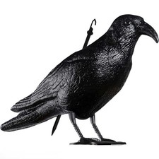 STATUA SPAVENTAPASSERI CORVO
