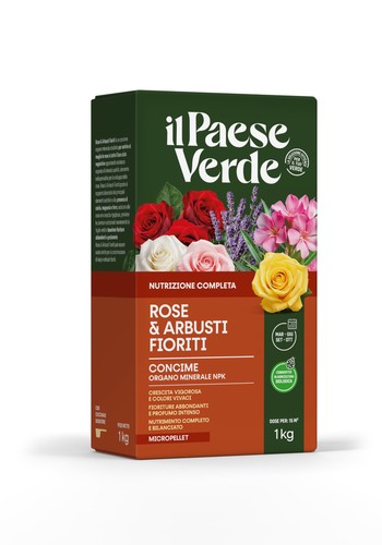Paese verde rose - paese,