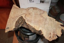 Legno di ulivo stagionato