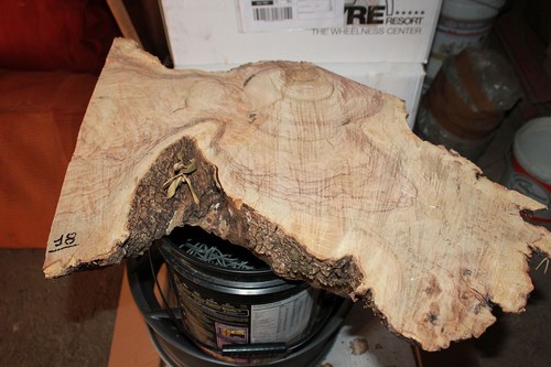 Legno di - (resin-epoxy),