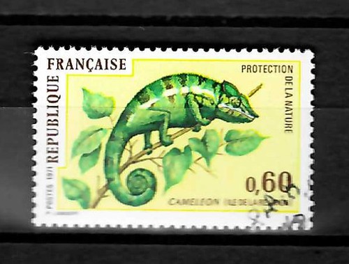 Naturschutz camelion katalog - naturschutz,,