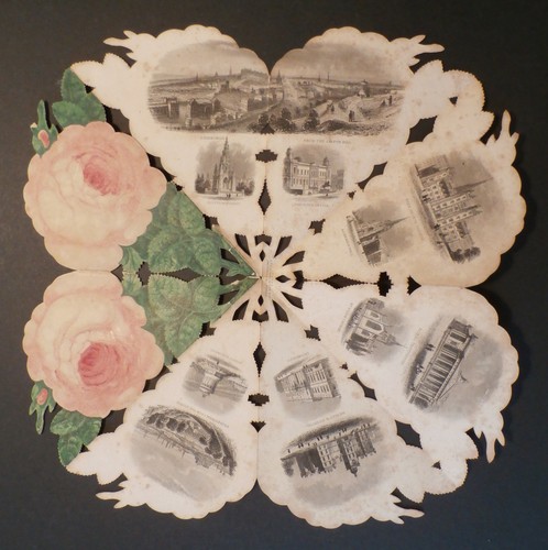 Souvenir rose edinburgh - souvenir,