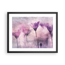 Poster 50x40cm Fiori rosa