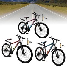 24" Spoke Wheel 24 Speed