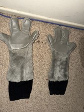 Costume Chuck E Cheese