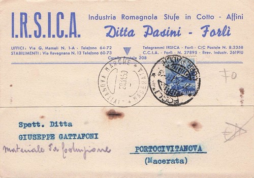 B1005 testatina i c - b1005),