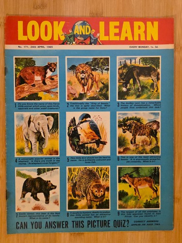 Look and learn - look,