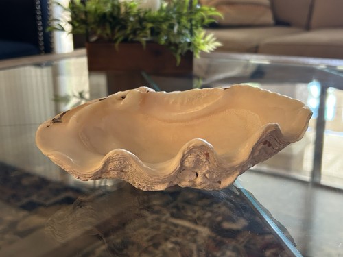 Originale oceano naturale