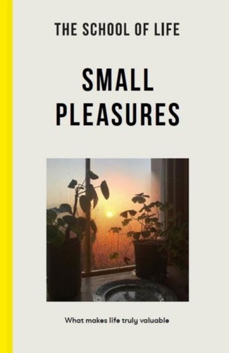 Small pleasures the school - pleasures,