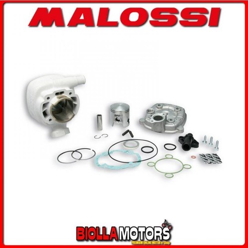 319477 gruppo termico malossi - 319477,