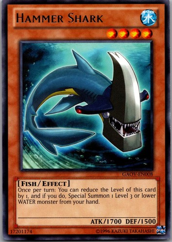 Squalo martello gaov en008 - martello, gaov-en008