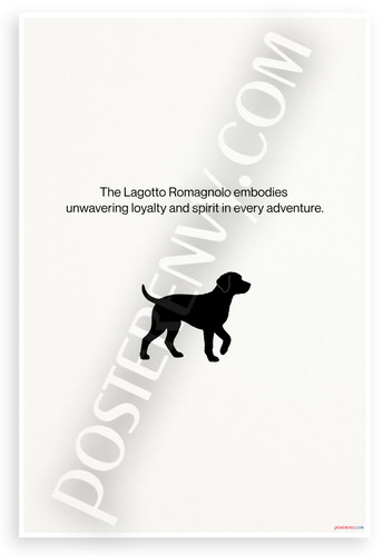 Poster lagotto romagnolo - lagotto,
