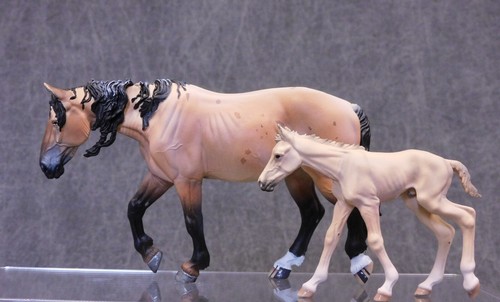 Wia nuovo buckskin mustang - wia,