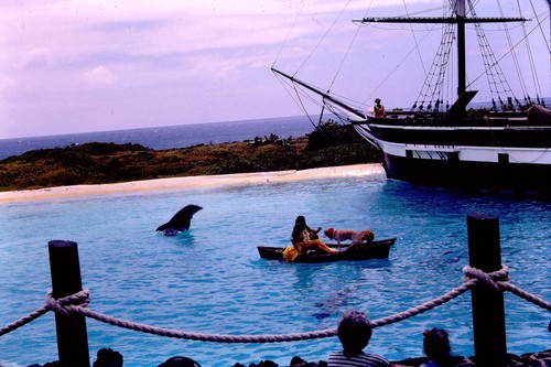 Sea life park hawaii - sea,