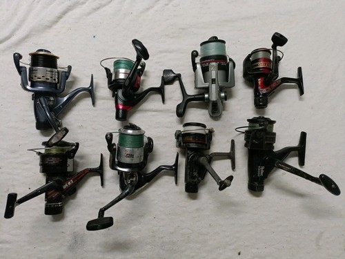 Mulinello pesca lotto - pesca,