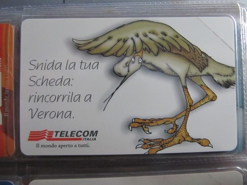 Scheda telefonica nuova - scheda,