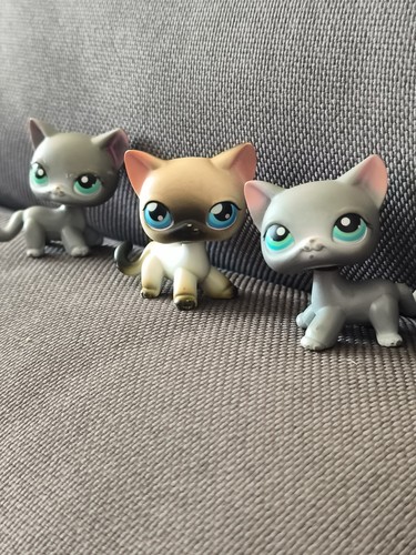 Littlest pet shop - shop, lps