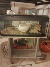 acquario