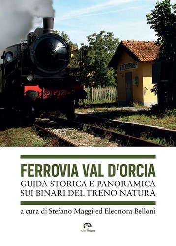 Libri stefano maggi - libri,