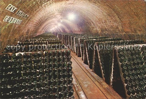 Vino cavas codorniu botellas - vino,