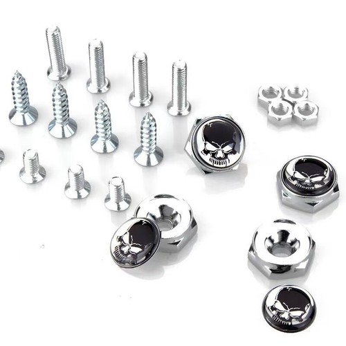 Pezzi teschio scheletro - 4,