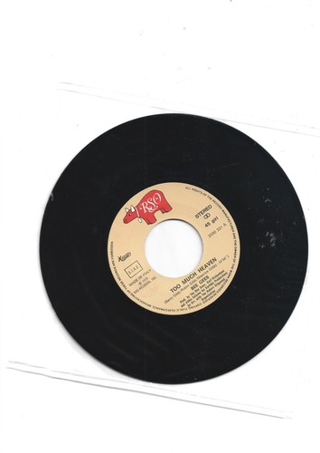 Bee gees disco - bee,