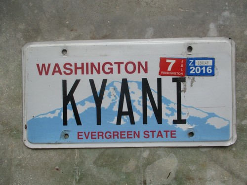 Washington 2016 targa - , vanità