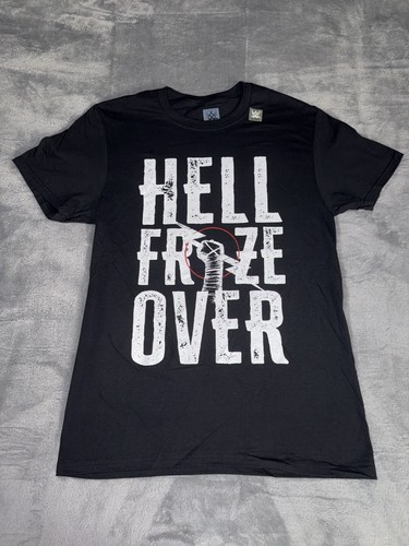 Wwe punk hell froze over - wwe,