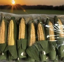 Longaberger finto mais - (7), per