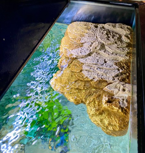 Exo terra turtle bank - exo, large