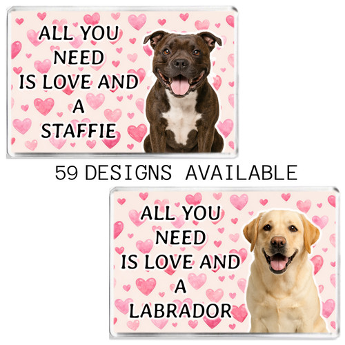 All you need love - a, dog