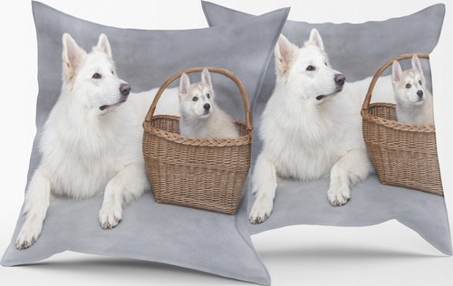 Coppia fodera cuscino misura - fodera,
