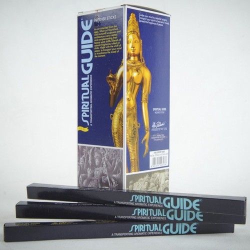 Spiritual guide padmini - spiritual, 1