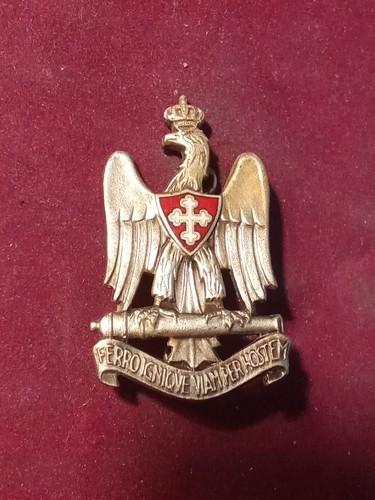 Raro fregio distintivo - raro,