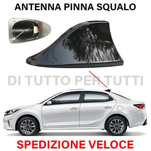 Antenna pinna squalo - pinna,