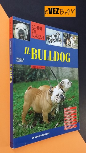 Bulldog cani razza - -,