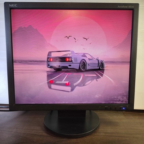 Nec accusync as191 - as191, 5:4