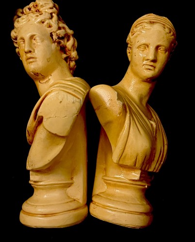 Busto gemello apollo - gemello,