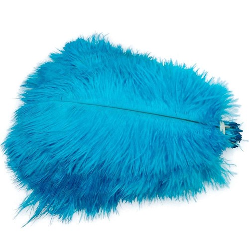 Sowder piume struzzo - di,