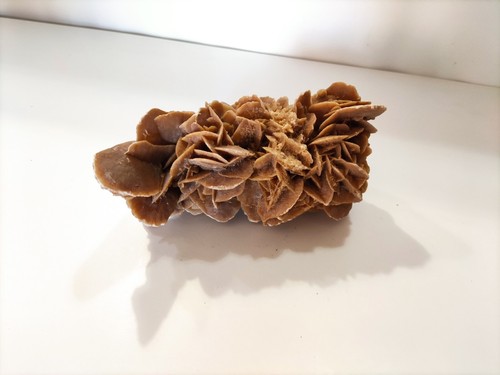 Grande rosa del deserto - grande,