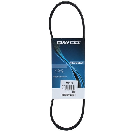 Cinghia poly dayco - cinghia,