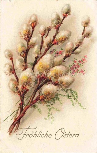 Pasqua paques - pasqua,
