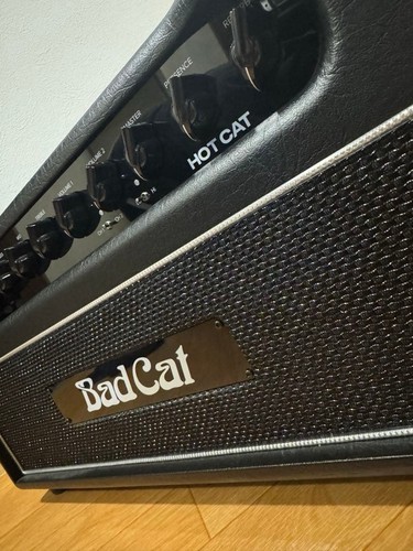 Raro badcat hotcat - badcat, head