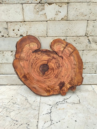 Rara lastra legno ulivo - rara,