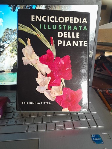 Enciclopedia illustrata delle - enciclopedia,