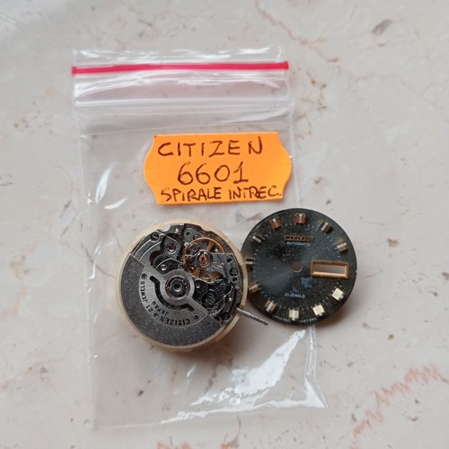 Citizen cal 6601 - 6601, di