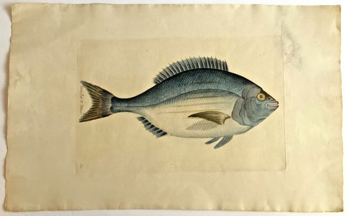 Juan bautista bru spagnolo - bru, (spagnolo