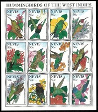 Nevis 1995 - Fiori di Colibrì